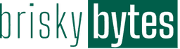Brisky Bytes